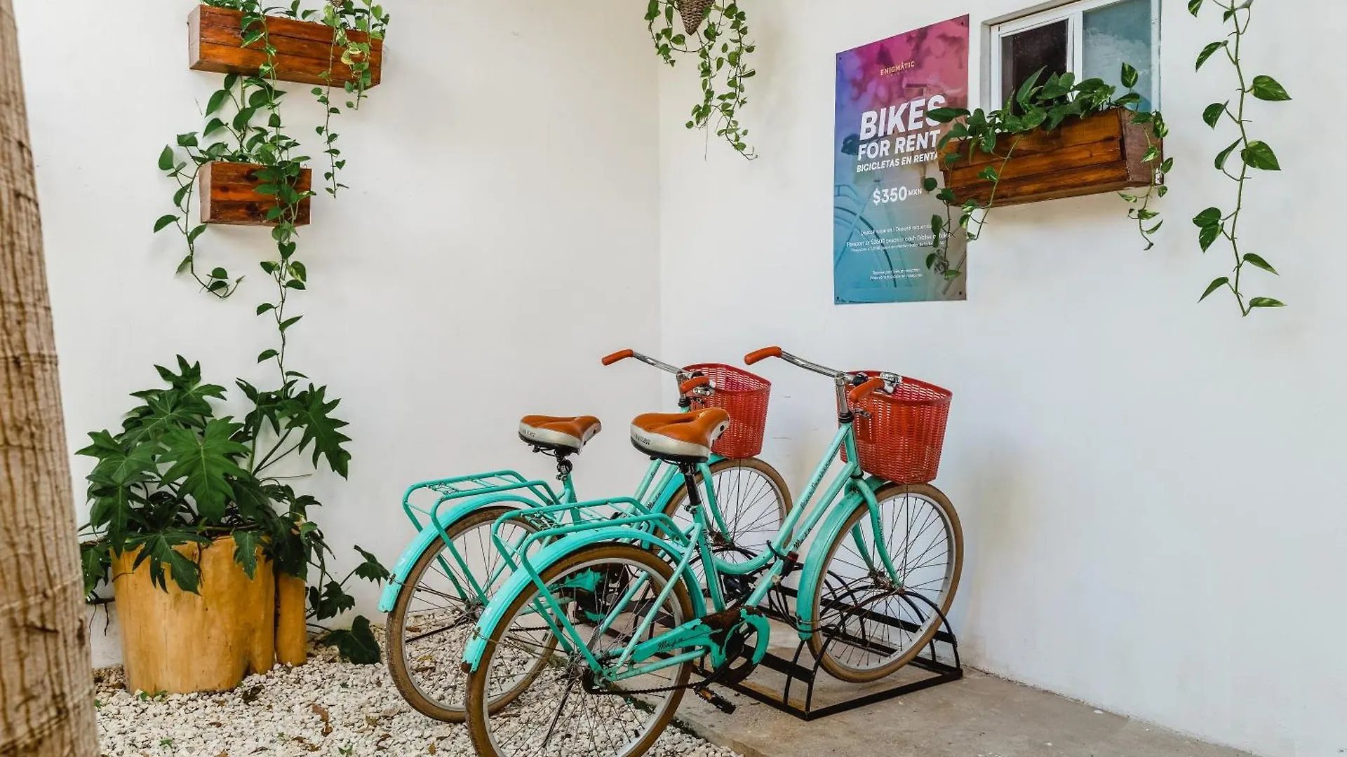 Mezcal Hotel Cancún
