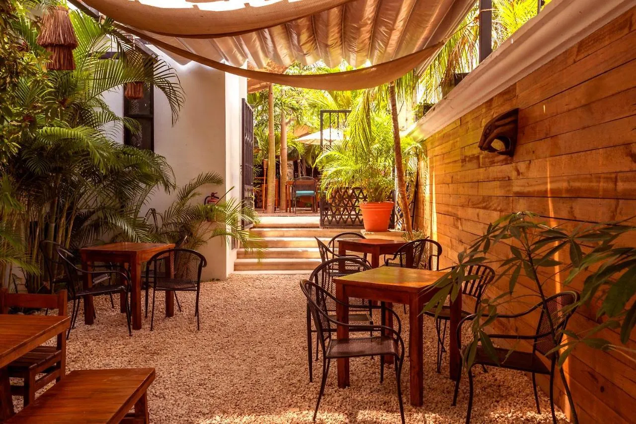 קנקון Mezcal Hotel מקסיקו